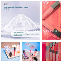 Vinyl Dimethicone/Methicone Silsesquioxane Crosspolymer BT-9102 Organosilicone Composite Powder Solid White Powder 8,0 ~ 12,0μm Untuk kosmetik