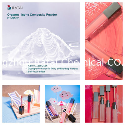 Vinyl Dimethicone/Methicone Silsesquioxane Crosspolymer BT-9102 Organosilicone Composite Powder Solid White Powder 8,0 ~ 12,0μm Untuk kosmetik