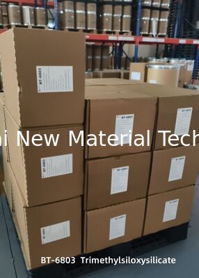 Solusi Tabir Surya Tahan Lama Berkinerja Tinggi: Agen Soft-Focus Bubuk TMS Pembentuk Film Trimethylsiloxysilicate